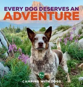 Every Dog Deserves an Adventure