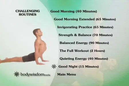 Barbara Benagh - Power Yoga for Everybody