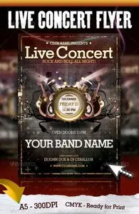 GraphicRiver Live Concert Flyer