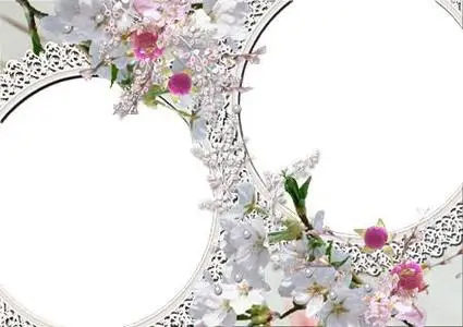 Beauty Frame for Photoshop