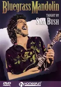 Bluegrass Mandolin