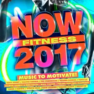 VA -  NOW Fitness 2017 (2017)