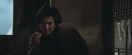 Choihui jeungin (1980) The Last Witness