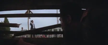 Choihui jeungin (1980) The Last Witness