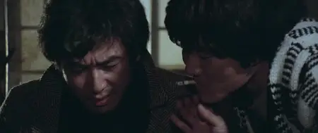 Choihui jeungin (1980) The Last Witness