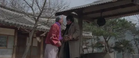 Choihui jeungin (1980) The Last Witness