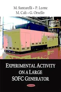 Experimental Activity on a Large SOFC Generator