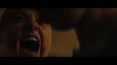 Vicious (2025)
