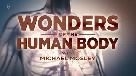 Channel 5 - Wonders of the Human Body (2024)