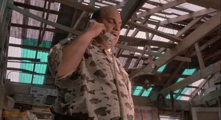 Fluke (1995)