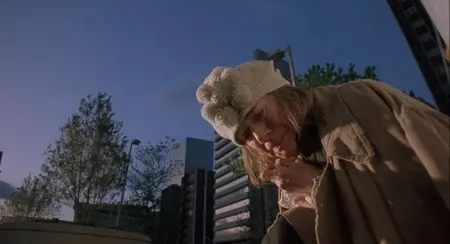 Fluke (1995)