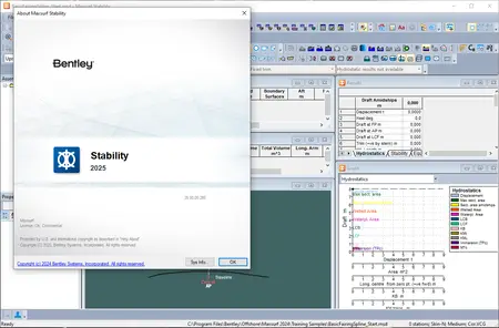 Maxsurf 2025 (25.00.00.280)