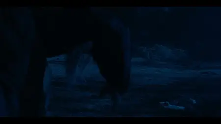 Gannibal S02E08