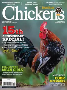 Chickens - November-December 2024