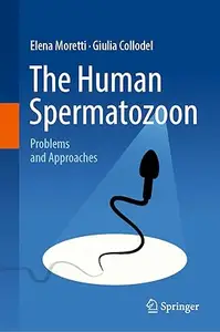 The Human Spermatozoon