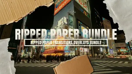 Ripped Paper Transitions & Overlays Bundle | DR 57829548