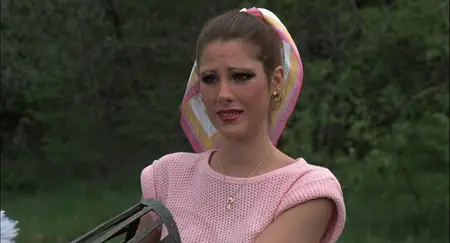 Knightriders (1981)