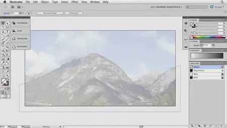 Total Training - Adobe Illustrator CS5 Essentials