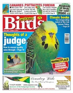 Cage & Aviary Birds – 15 October 2014