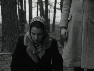 Ida (2013)