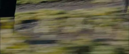 Devil's Playground (2010)