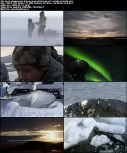 David Attenborough Frozen Planet S01E06 UNCUT
