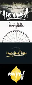 Creativemarket - Harvest Typeface