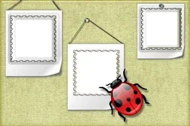 Ladybird Frame for Photoshop