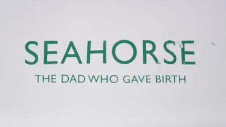 BBC - Seahorse: The Dad Who Gave Birth (2019)