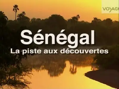 (Voyage) Sénégal, la piste aux découvertes (2012)