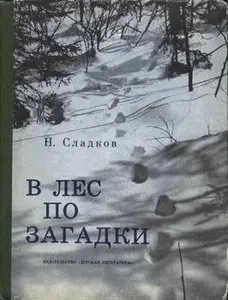В лес по загадки: Фотокнижка