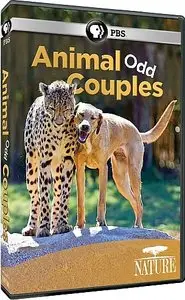 PBS Nature - Animal Odd Couples (2012)