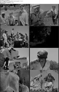 Martin Scorsese’s World Cinema Project [2013] [Criterion Collection]