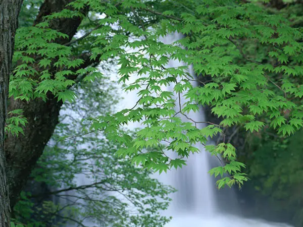 Wallpapers pack: The Japanese nature. Furano (2008)