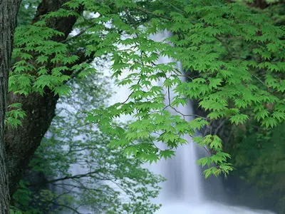 Wallpapers pack: The Japanese nature. Furano (2008)