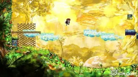 Braid (PC)