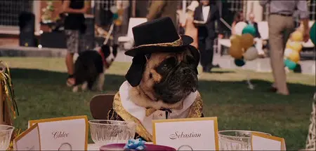 Beverly Hills Chihuahua (2008)