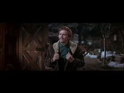 Seven Brides for Seven Brothers (1954)