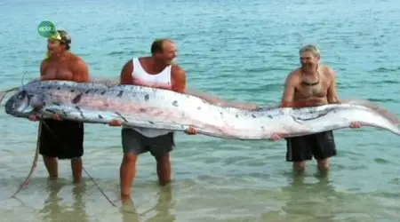 UKTV - Like a Sea Serpent (2010)