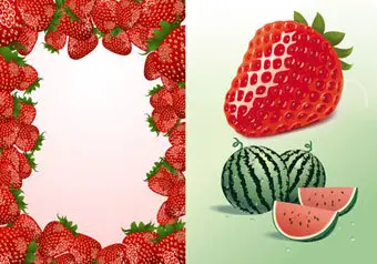Vector SS Fruits