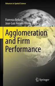 Agglomeration and Firm Performance (Repost)