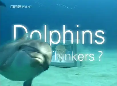 BBC Dolphins - Deep Thinkers (2003)