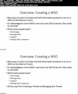 Make Money Online: Earn $10,000+ By Launching WSO (No Fluff)
