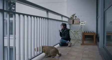 Proxima (2019)