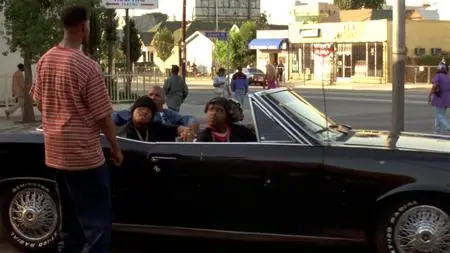 Don't Be a Menace to South Central While Drinking Your Juice in the Hood (1996)