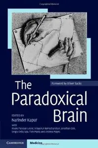 The Paradoxical Brain (repost)