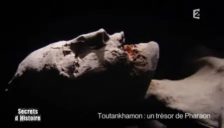 Toutankhamon un trésor de Pharaon (2011)