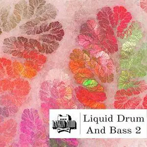 Rankin Audio Liquid Drum and Bass 2 WAV