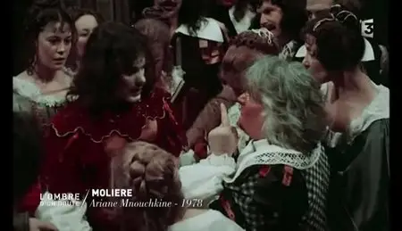 (Fr3) L'ombre d'un doute - Et si Molière n'était pas l'auteur de ses pièces ? (2013)