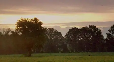 The Cradle (2007)